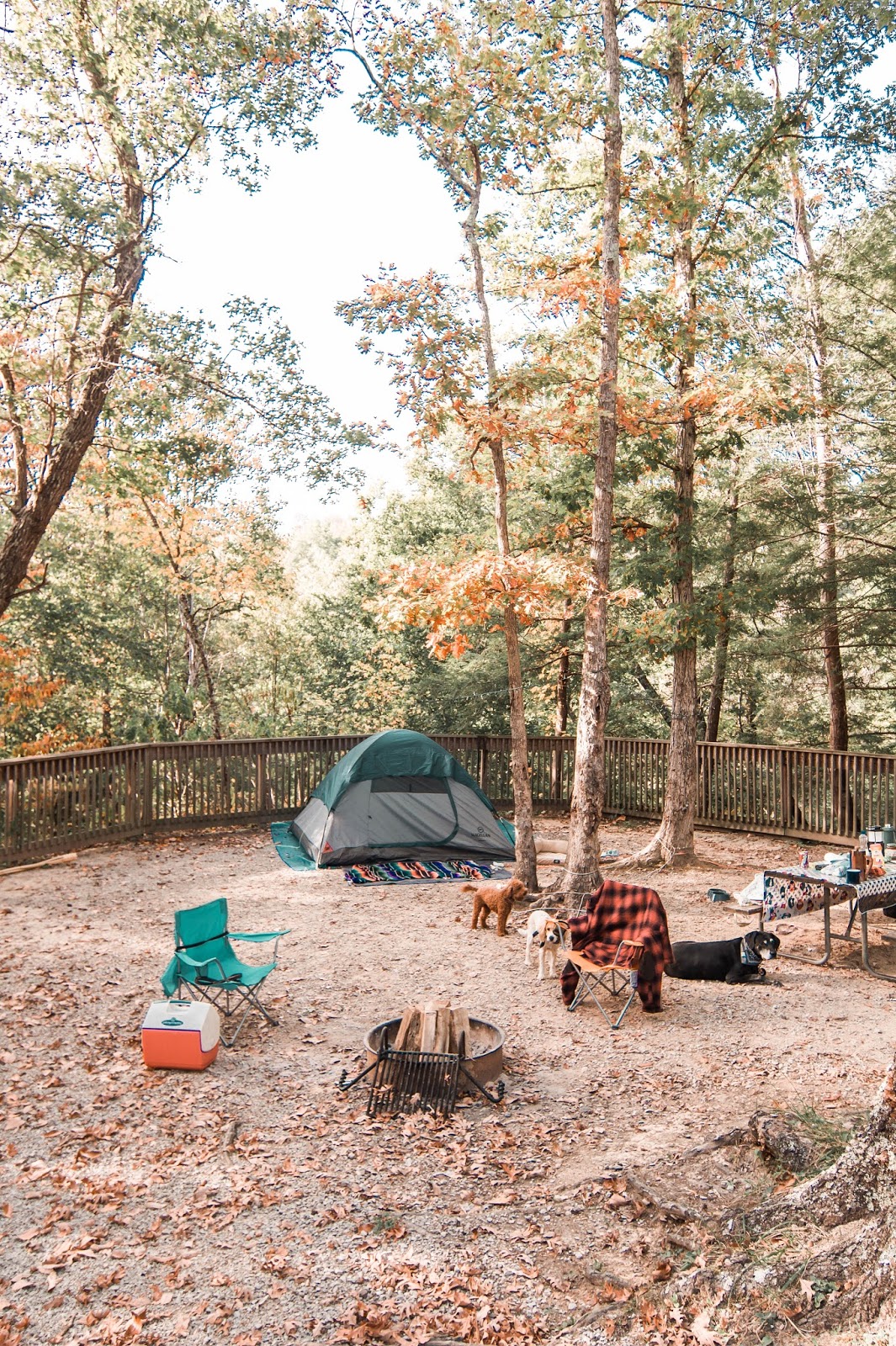 View campsite map, availability, and reserve online with reserveamerica. Camping at Cumberland Falls State Resort Park