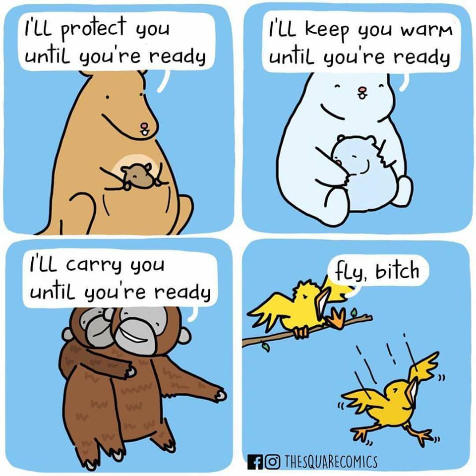 Honor mom by visiting audubon’s most beloved moms like kali, the african lion, and sumatran. The Zoo Review Mother's Day