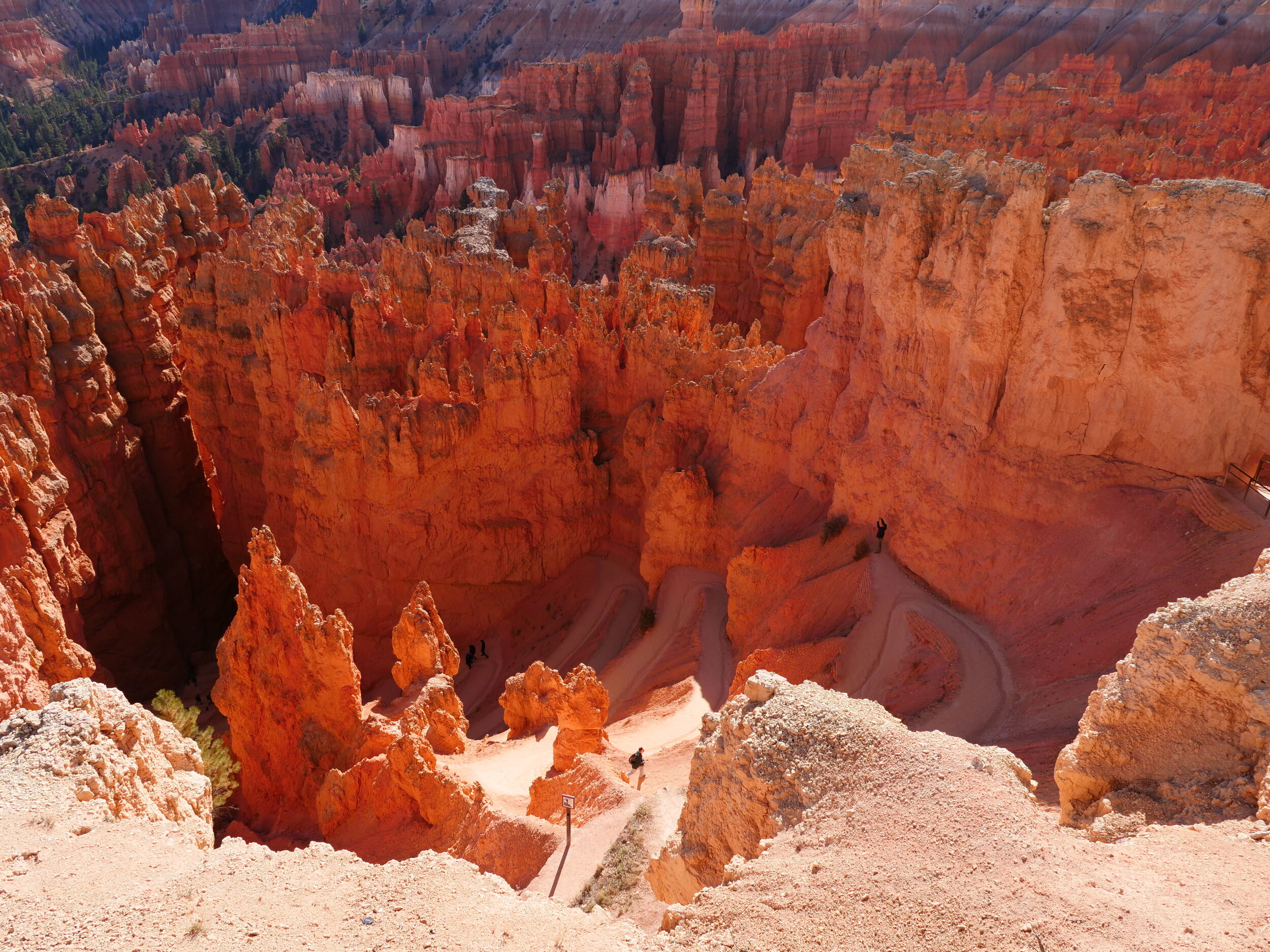 190 Zion & Bryce Canyon tour from Las Vegas — Grand Canyon Tours by GC