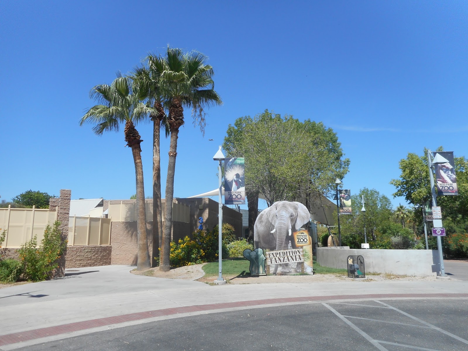 And you get to see peacocks and rabbits every once and a while scattered throughout the zoo. Traveling in photos REID PARK ZOO, TUCSON, AZ, USA 15, AUG. 2015