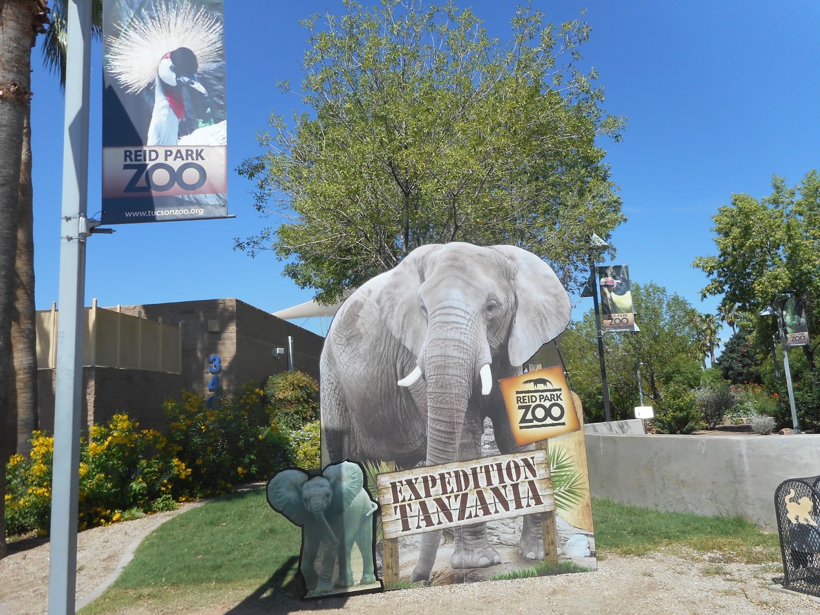 Holiday magic, presented by tucson electric power, returns with thousands of enchanting lights, mesmerizing light shows,. Traveling in photos REID PARK ZOO, TUCSON, AZ, USA 15, AUG. 2015