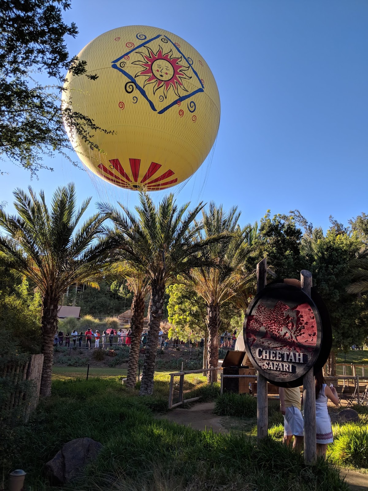 Jungle bells proudly supported by california coast credit union at the san diego zoo, and wild holidays at the san diego zoo safari park. Enjoy a fine dining Thanksgiving feast at the San Diego Zoo or San