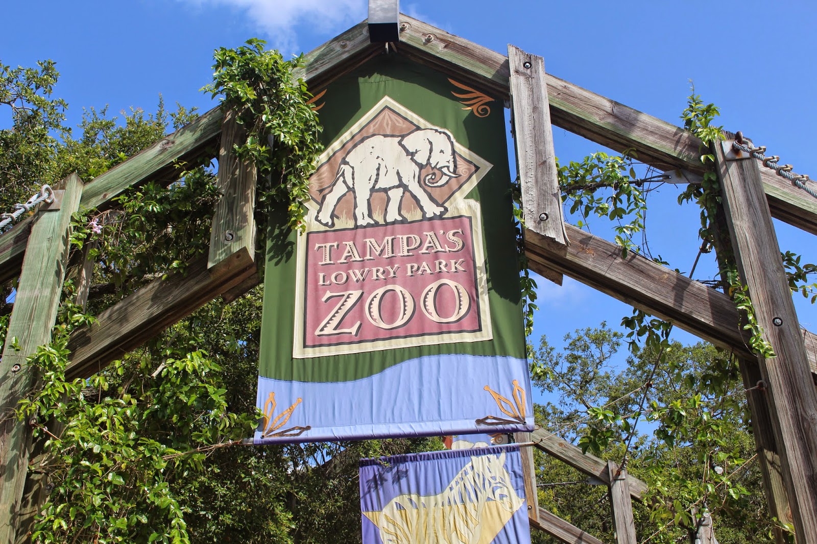 Sligh avenue tampa, fl 33605 Top Tips for Visiting Tampa's Lowry Park Zoo as a Family