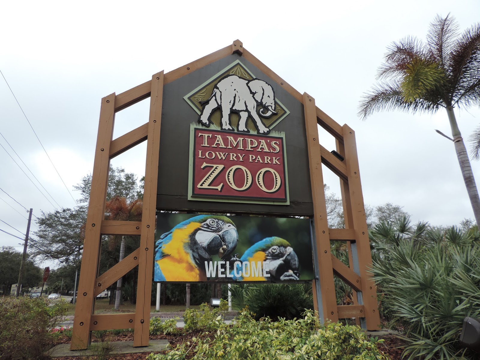 Mail4Rosey Lowry Park Zoo in Tampa 1300 Species on 60 Acres of