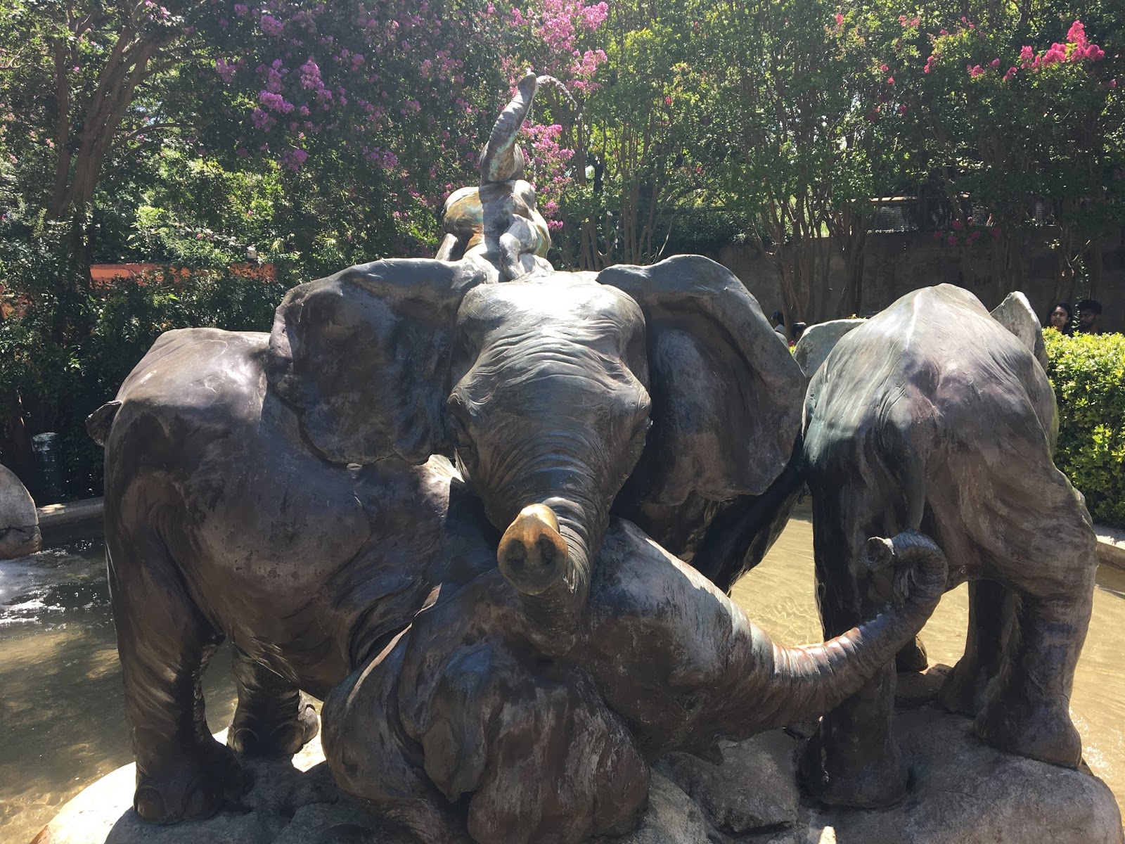 The dallas zoo is gearing up for the highly anticipated return of dollar days on july 13 and august 8. Exploring... Dallas Zoo Dollar Day 2017 Life of P Jern