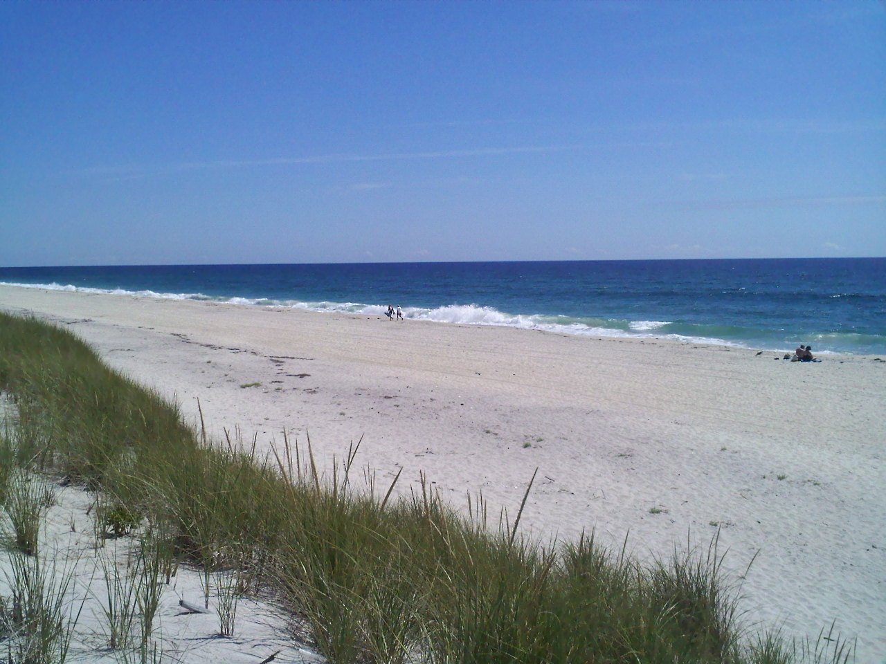 It would be on sunday july 3rd and i'm a little concerned about how insane it will be. NYC Mindy An Insider's Guide to Life in New York Day Trip Fire Island