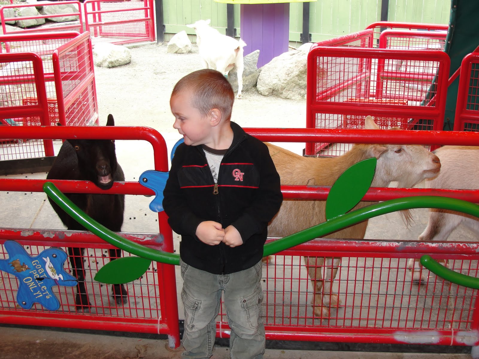 Point Defiance Zoo Birthday Party